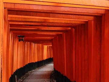 Kyoto Early Bird Tour in Uji and Fushimi Inari