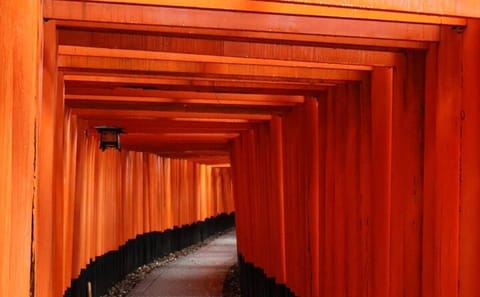 Kyoto Early Bird Tour in Uji and Fushimi Inari