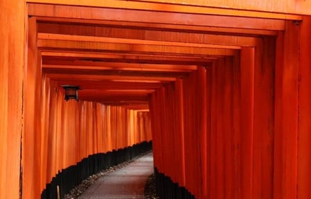 Kyoto Early Bird Tour in Uji and Fushimi Inari