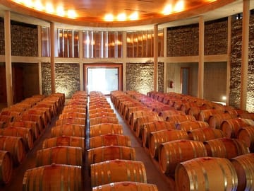 Casablanca Valley Wine Tour from Santiago
