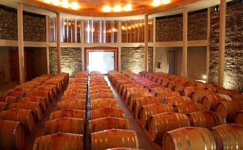 Casablanca Valley Wine Tour from Santiago with Tastings