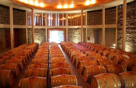 Casablanca Valley Wine Tour from Santiago with Tastings