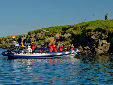 Premium Puffin Tour