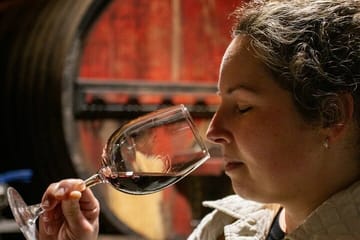 DOURO VALLEY: Premium Wine Tour, Lunch at Winery & Private Cruise