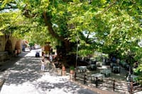 Private Half Day: Olive Oil, Krasi Village & Lasithi Plateau Tour 5