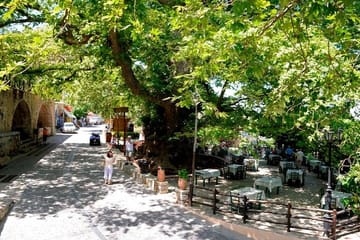 Private Half Day Tour of Krasi Village and Lasithi Plateau in Heraklion
