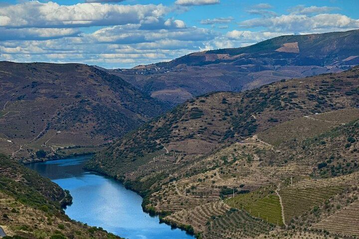 Shared Porto wine Tour By Minivan And Train