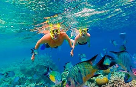 Catamaran Snorkeling Adventure in West End, Honduras