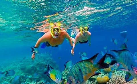 Catamaran Snorkeling Adventure in West End, Honduras