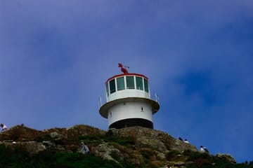 Cape Point and Penguins Half Day Group Tour