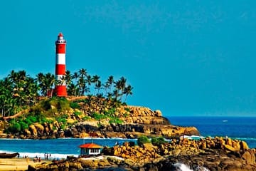 7-Day Kerala Luxury Tour from Cochin with Private Driver
