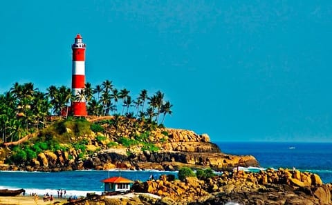 Luxury 7-Day Kerala Tour with Private Driver from Kochi