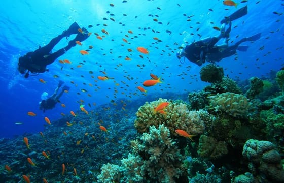 Alanya Scuba Diving and Snorkeling Trip
