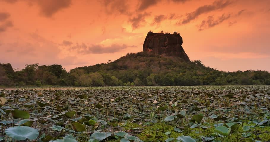 Ceylon Nature & Culture Tour: Explore Kandy, Sigiriya, & Nuwara Eliya