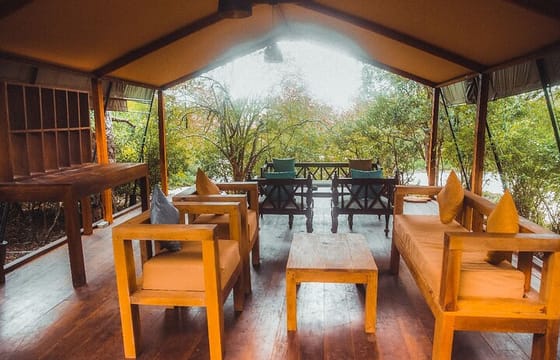 Luxury Safari Camping in Yala