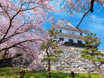 Kyoto Osaka to Lake Biwa Private Day Tour