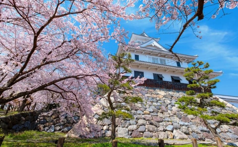 Kyoto Osaka to Lake Biwa Private Day Tour