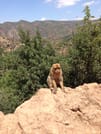 DAY TRIP TO OUZOUD WATERFALLS 5