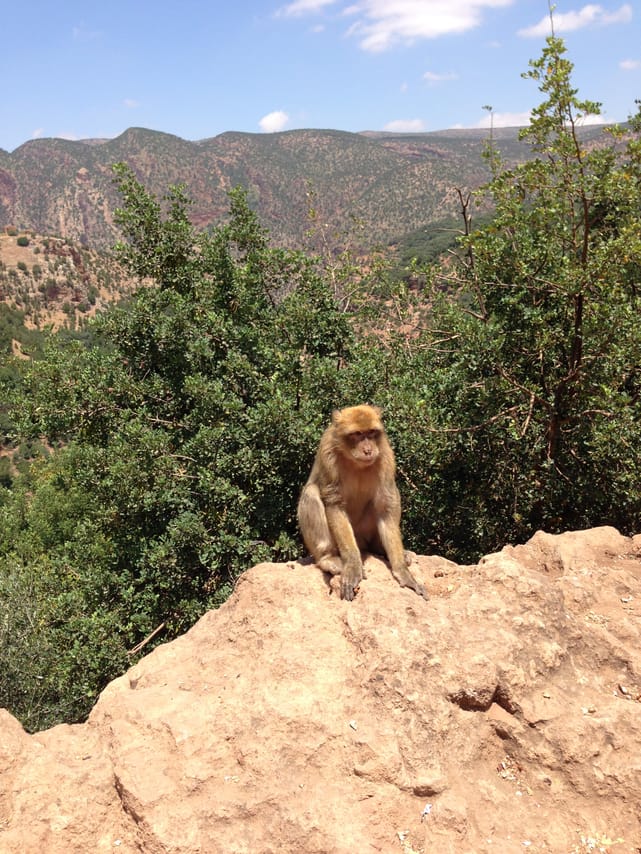 DAY TRIP TO OUZOUD WATERFALLS 5