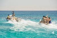 Dolphin House Trip Hurghada