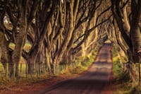 Titanic Experience and Giant's Causeway Tour from Belfast 2