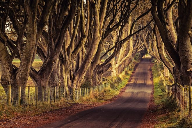 Titanic Experience and Giant's Causeway Tour from Belfast 2