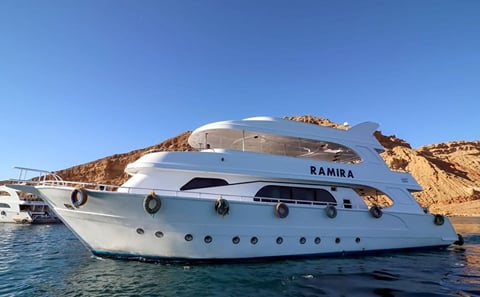 Snorkeling and Diving Tour at Ras Mohammed and White Island