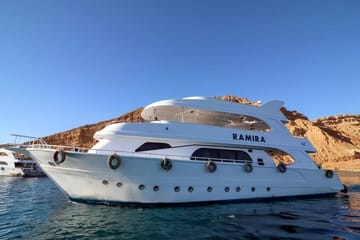 Snorkeling and Diving Tour at Ras Mohammed and White Island