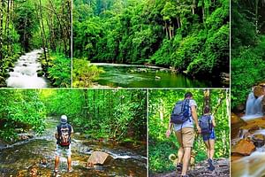 Sinharaja Rain Forest Tour from Galle
