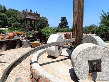 Chania Old Town and Olive Oil Experience Tour