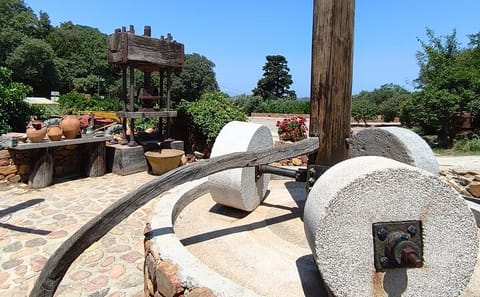 Chania Old Town and Olive Oil Experience Tour