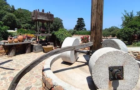 Chania Old Town and Olive Oil Experience Tour