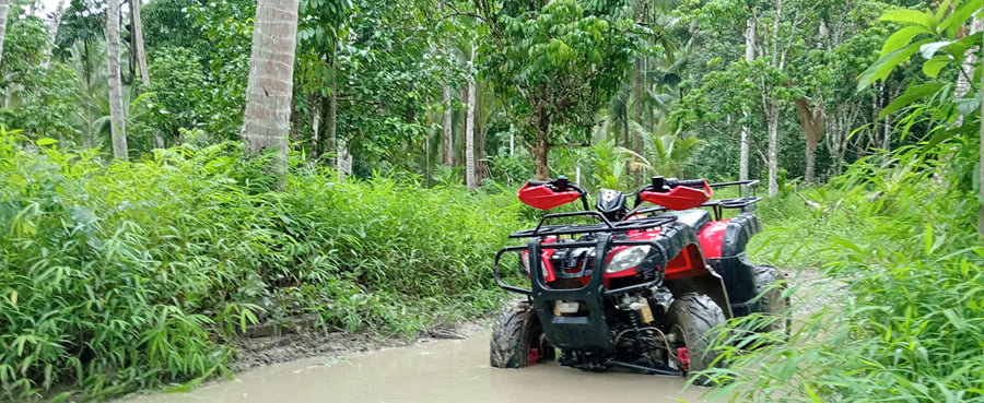 A red ATV parked on a jungle track