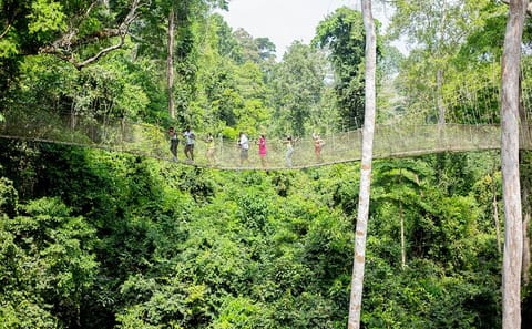 Accra and Cape Coast 9-Day Private Tour in Ghana