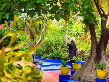 Majorelle Garden
