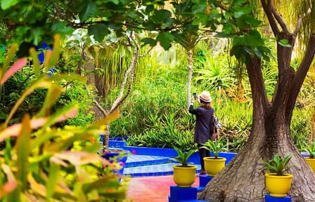 Marrakech Full Day Guided City Tour – Private Tour