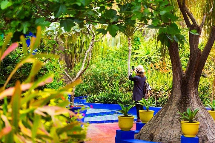 Majorelle Garden