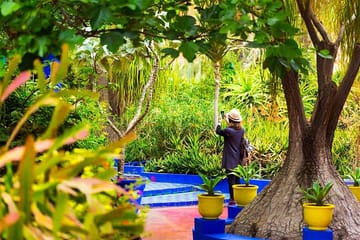 Private Full Day City Tour of Marrakech's Cultural Highlights
