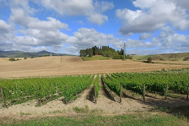 Half-Day Chianti Classico Tour with San Gimignano - Photo 2