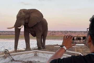 Full Day Chobe National Park Tour from Victoria Falls