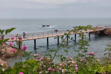 Qingdao West Coast Art and Coastal Highlights Day Tour