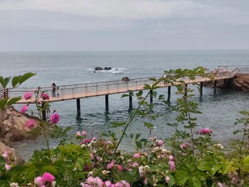 Qingdao West Coast Art, Culture & Coastal Adventure Day Tour