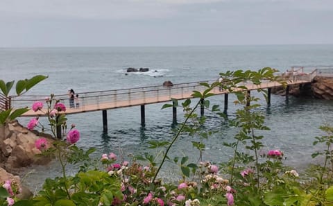 Qingdao West Coast Art and Coastal Highlights Day Tour
