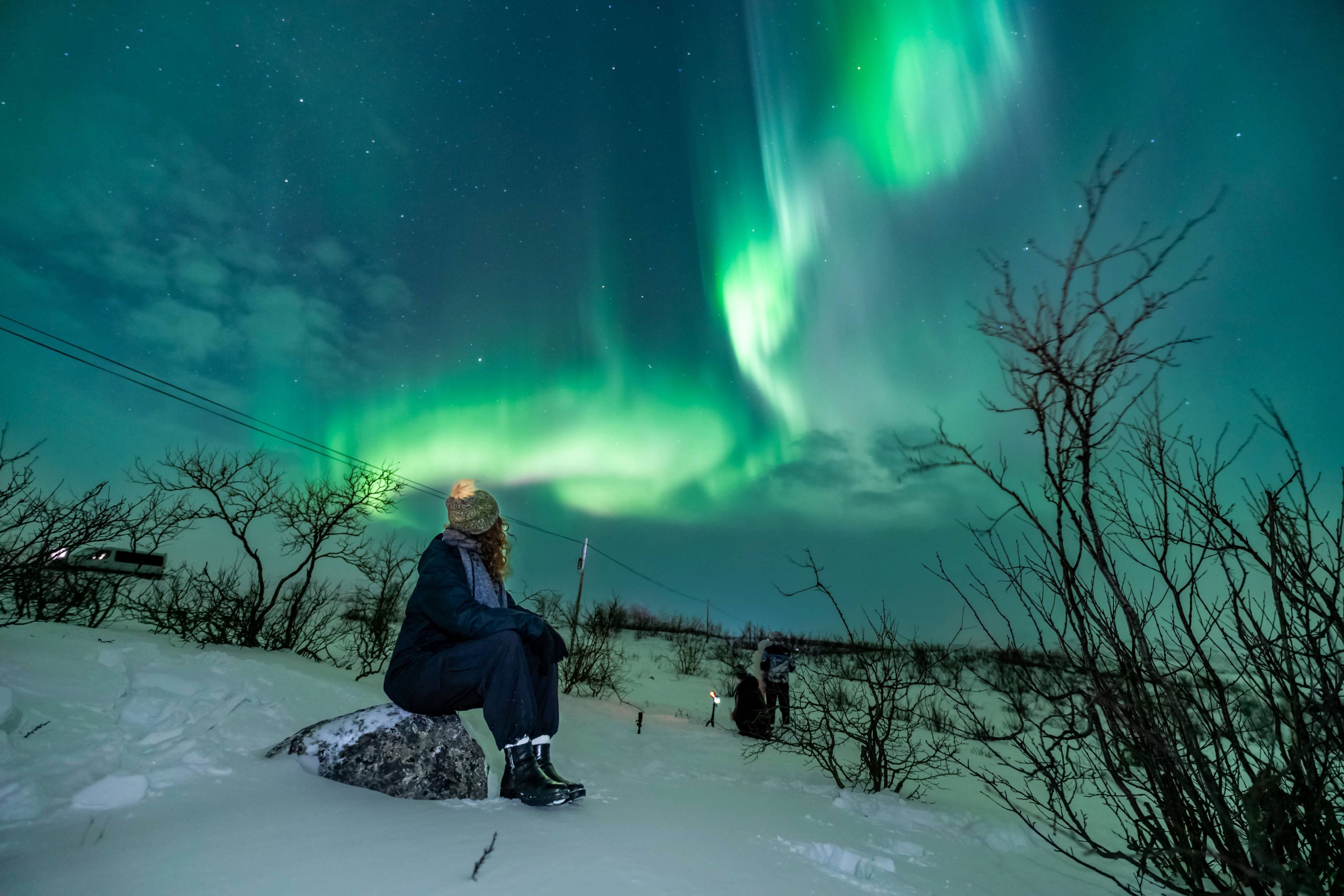 Traveler sitting on a snowbank watching a sweeping green Northern Lights display during a daily Tromsø small-group tour.