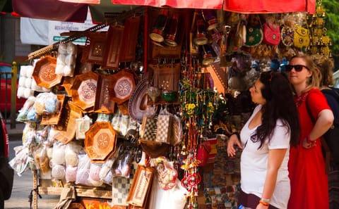 Wildlife Safari and Cultural Tour in Central India