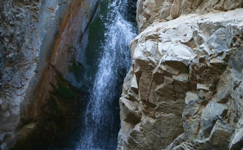 Troodos Mountains Day Trip from Paphos with Wine Tasting