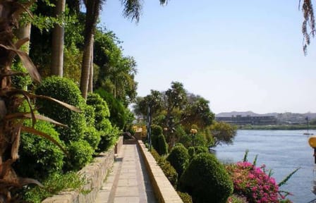 Explore Aswan Botanical Garden on a Guided Nature Tour
