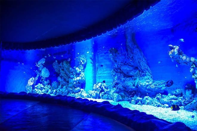 Hurghada Grand Aquarium Trip