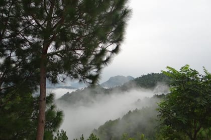 Kullu, Manali & Shimla Private Tour