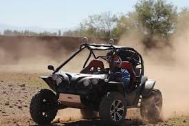 ½ Day : Buggy Adventure in Desert & Palms | Private & Luxury 6